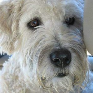 Meet your Posher, Barbara